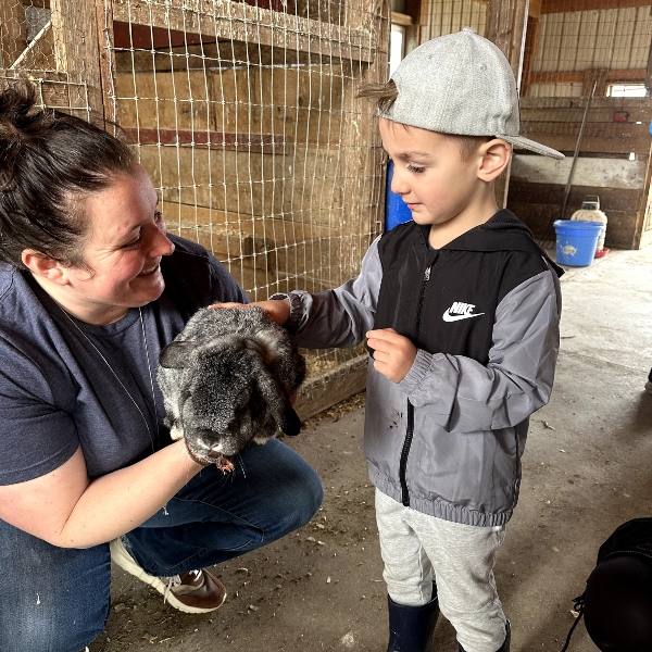 a child on a field trip pets a rabbit on the farm