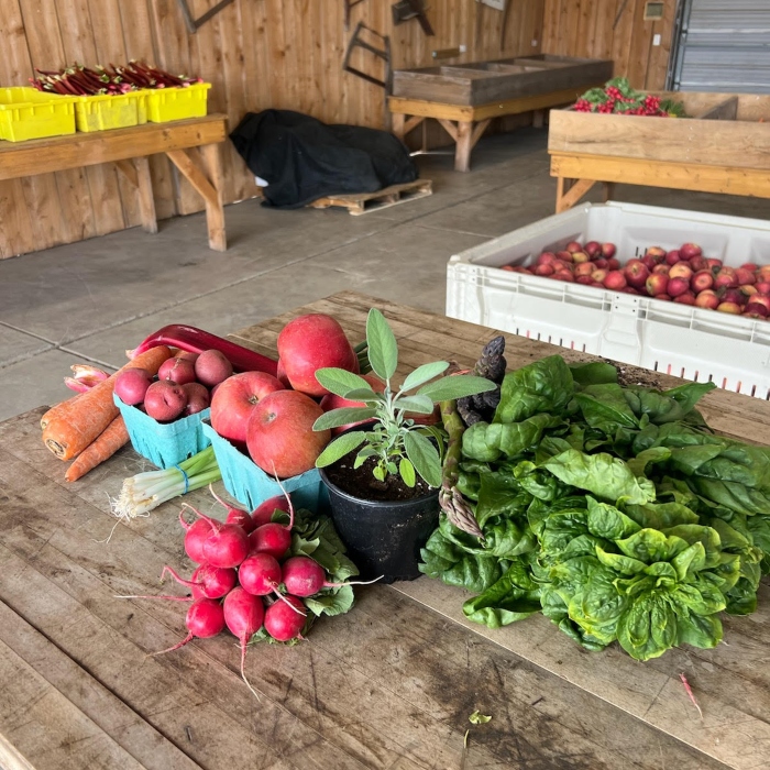 A variety of veggies in the 2025 Spring CSA share of the week.
