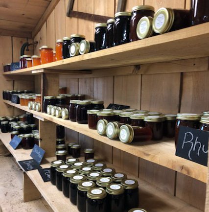 img-0196 (1) Shelves filled with various jars of homemade jams and jellies, showcasing a range of colors and flavors, including rhubarb, in a rustic wooden setting.