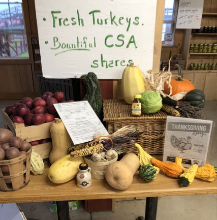 Display of fresh produce and turkeys at a farm stand, featuring apples, squash, potatoes, and decorative gourds, with a sign promoting fresh turkeys and CSA shares for Thanksgiving.