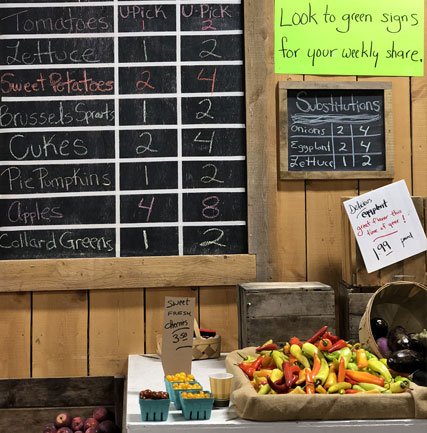 Farmers market display featuring a chalkboard with vegetable options and pricing, including tomatoes, sweet potatoes, and collard greens. Fresh produce like sweet corn, peppers, and apples is arranged on a table, with a sign indicating weekly share details and substitutions available.