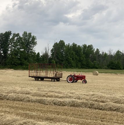 Red vintage tractor pulling a hay wagon across a harvested field, with green trees in the background under overcast skies.