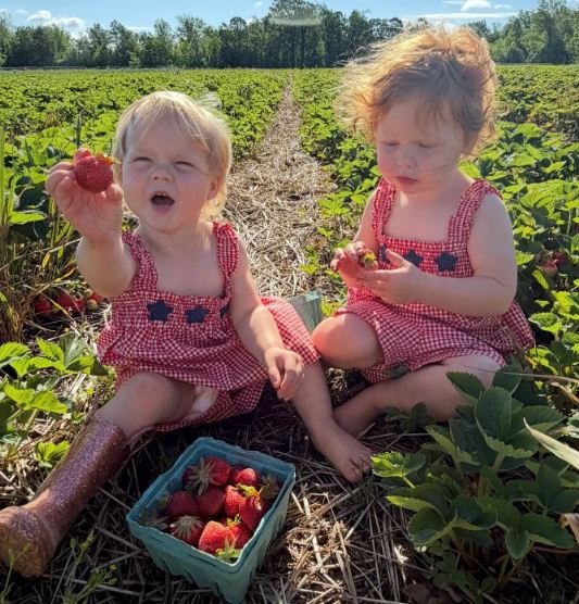 Two young children sitting in a strawberry field, one holding a ripe strawberry and the other examining another berry. A basket filled with freshly picked strawberries is in front of them, surrounded by lush green plants under a sunny sky.