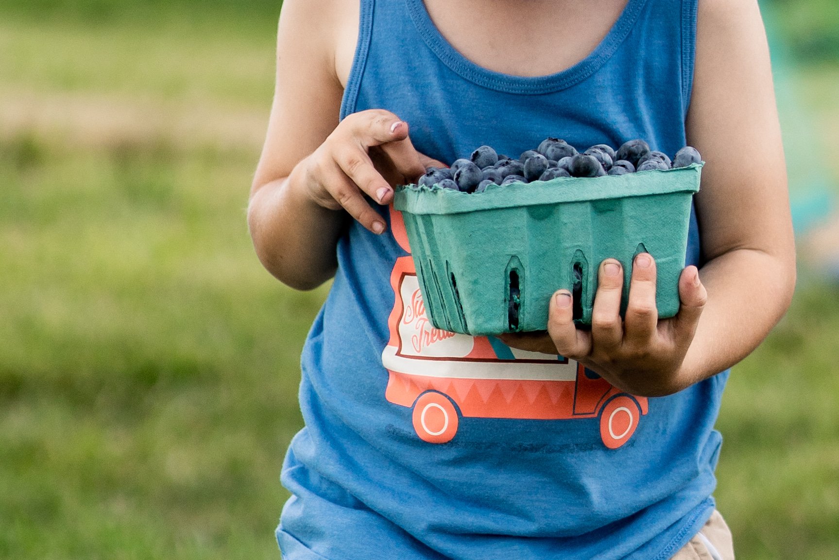 Child holding a green basket filled with freshly picked blueberries while standing in a grassy field, wearing a blue tank top with a colorful ice cream truck design.