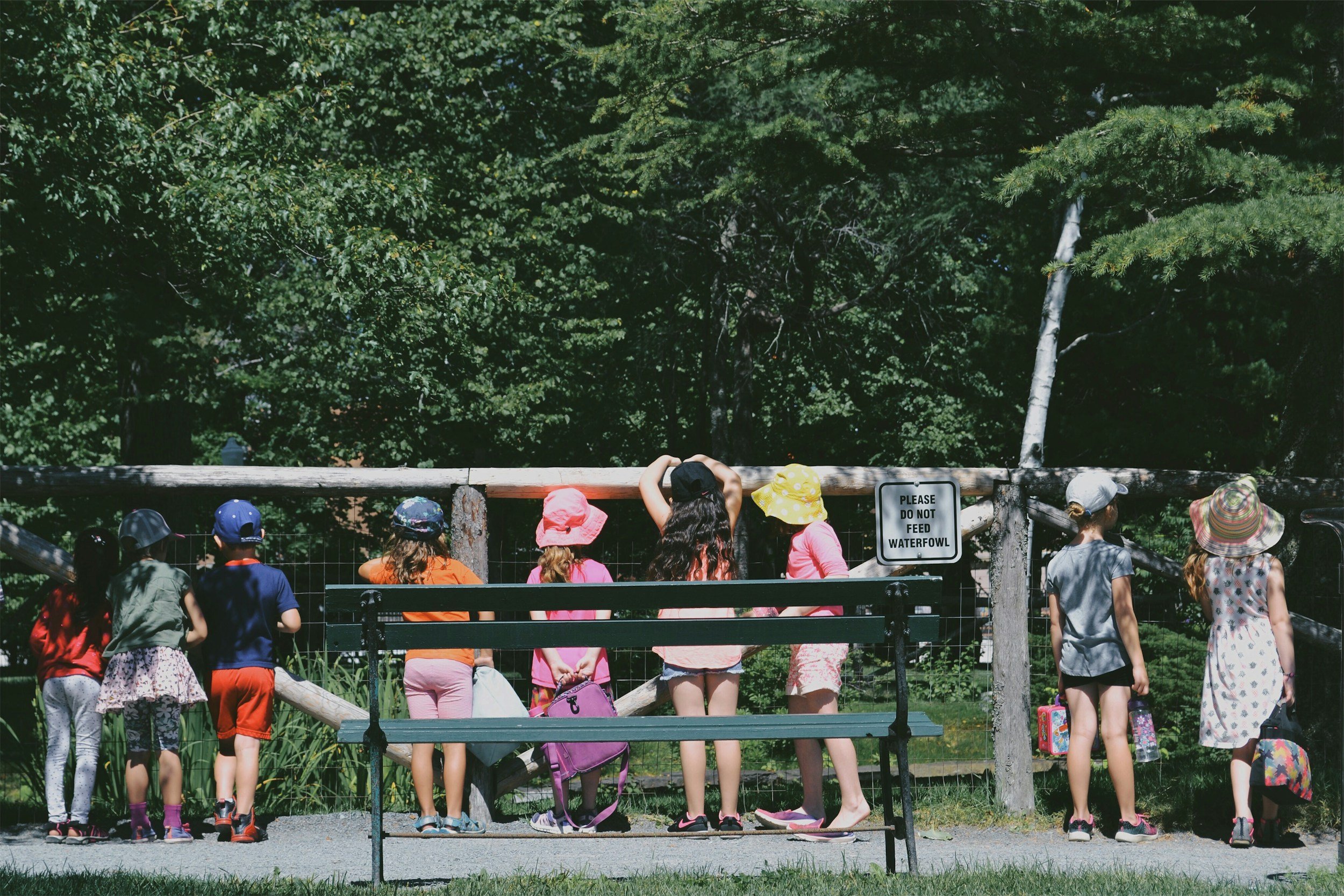 Group of children wearing colorful hats and summer clothing, gathered by a wooden fence in a park, observing their surroundings. A sign nearby reads "Please do not feed waterfowl." Lush green trees provide a natural backdrop.