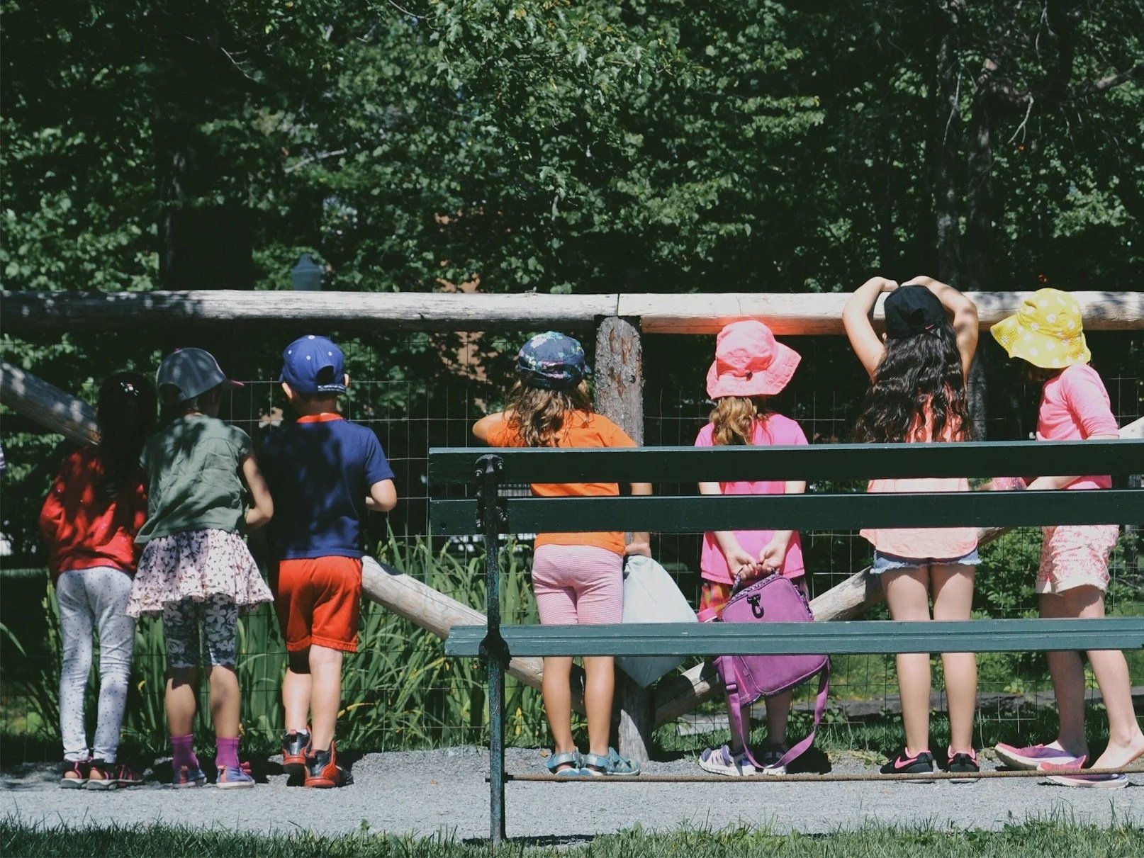Group of children in colorful outfits observing a fenced area in a park, showcasing their curiosity and outdoor play. The scene captures a sunny day with green trees in the background.