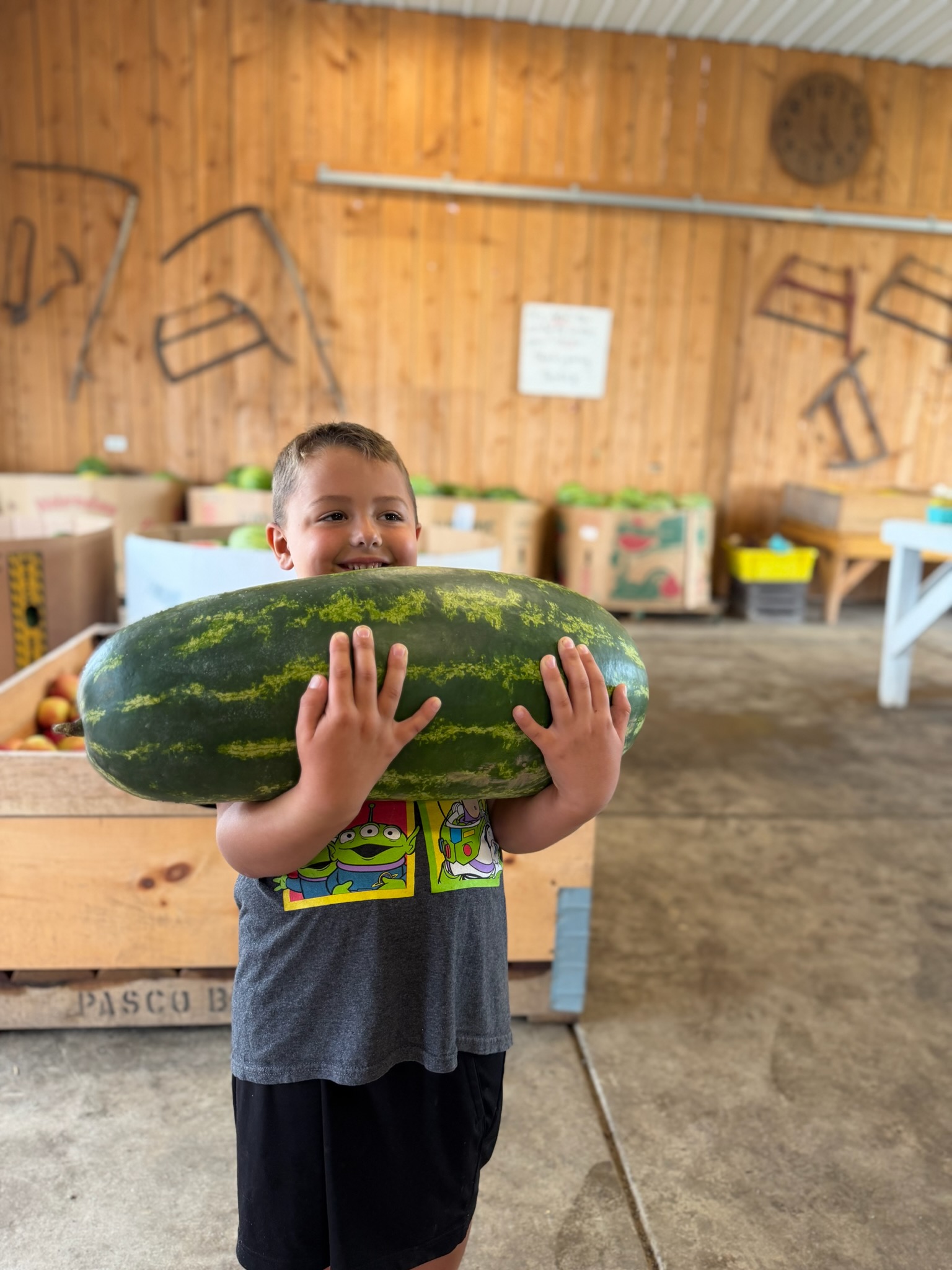 watermelon
